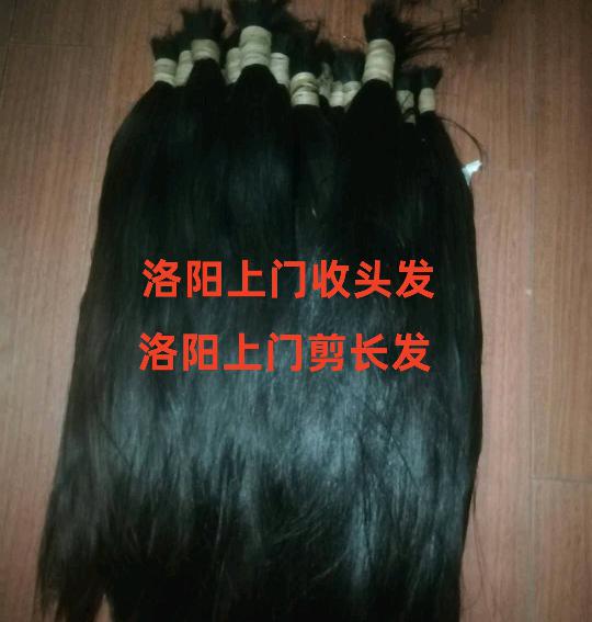 洛阳上门收头发|洛阳上门剪长发